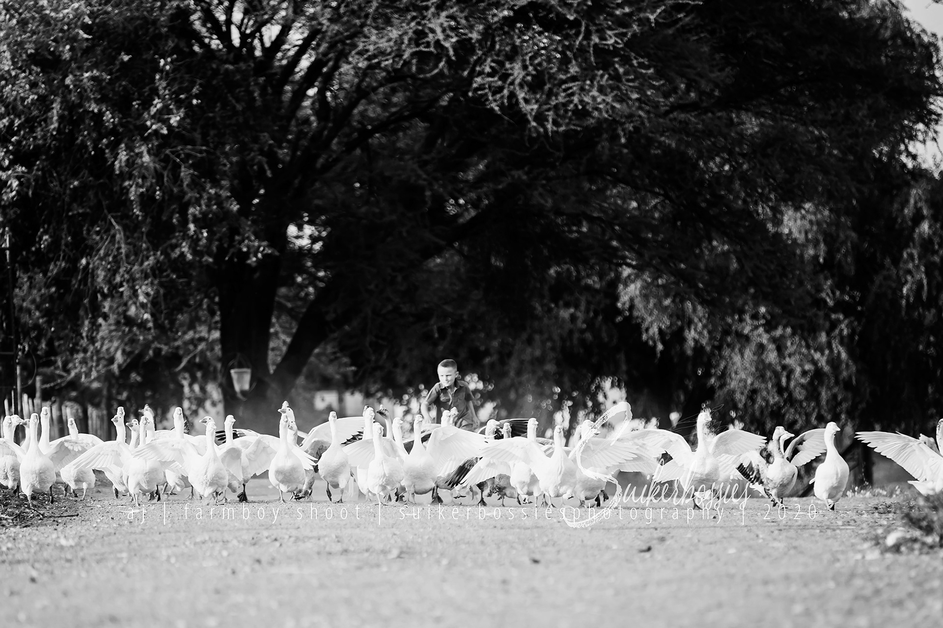 aj | farmboy shoot | suikerbossies photography | 2020