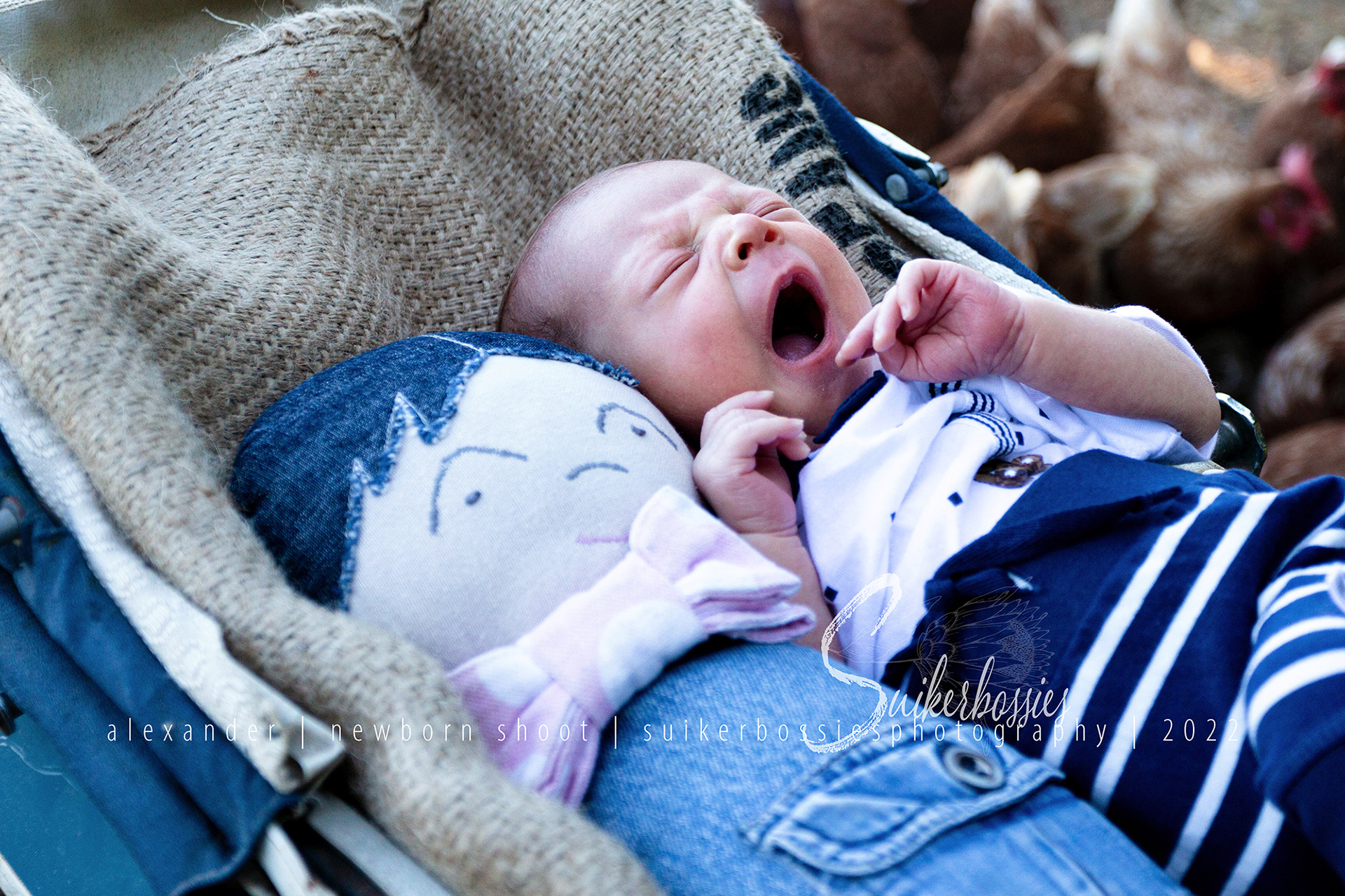alexander | newborn shoot | suikerbossies photography | 2022