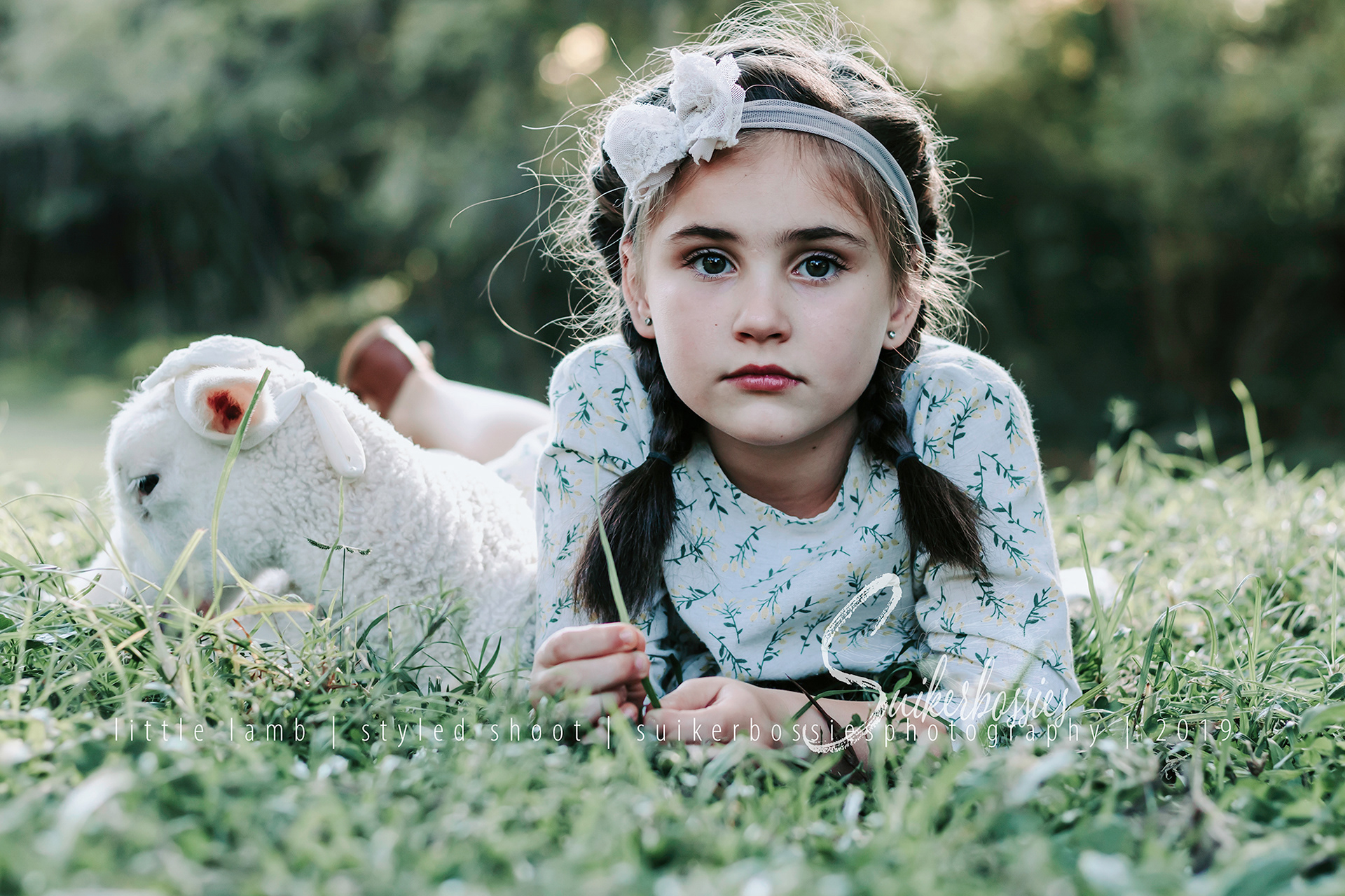 little lamb | styled shoot | suikerbossies photography | 2019