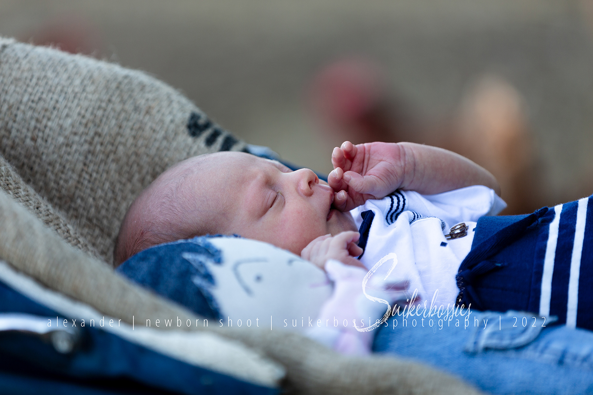 alexander | newborn shoot | suikerbossies photography | 2022