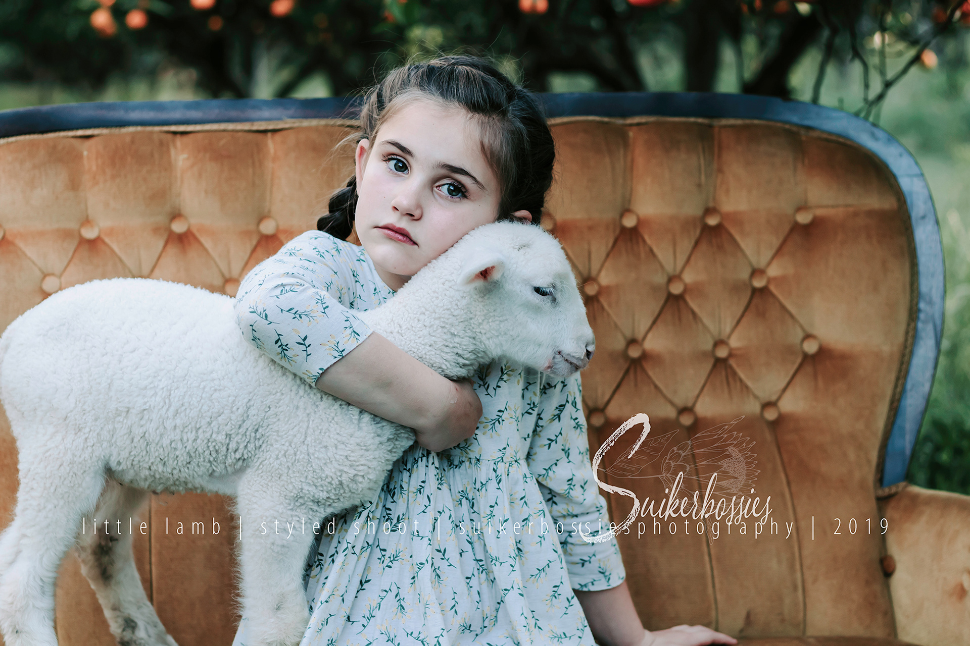 little lamb | styled shoot | suikerbossies photography | 2019