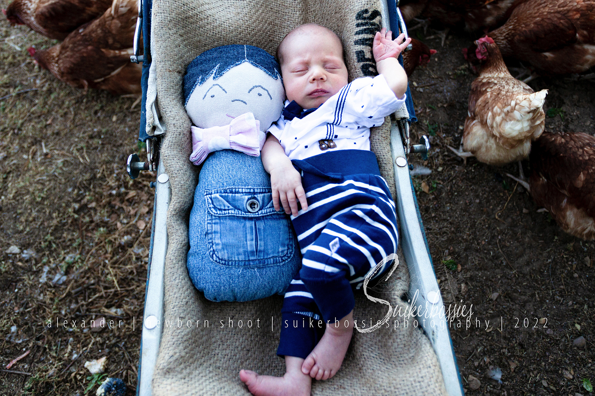 alexander | newborn shoot | suikerbossies photography | 2022