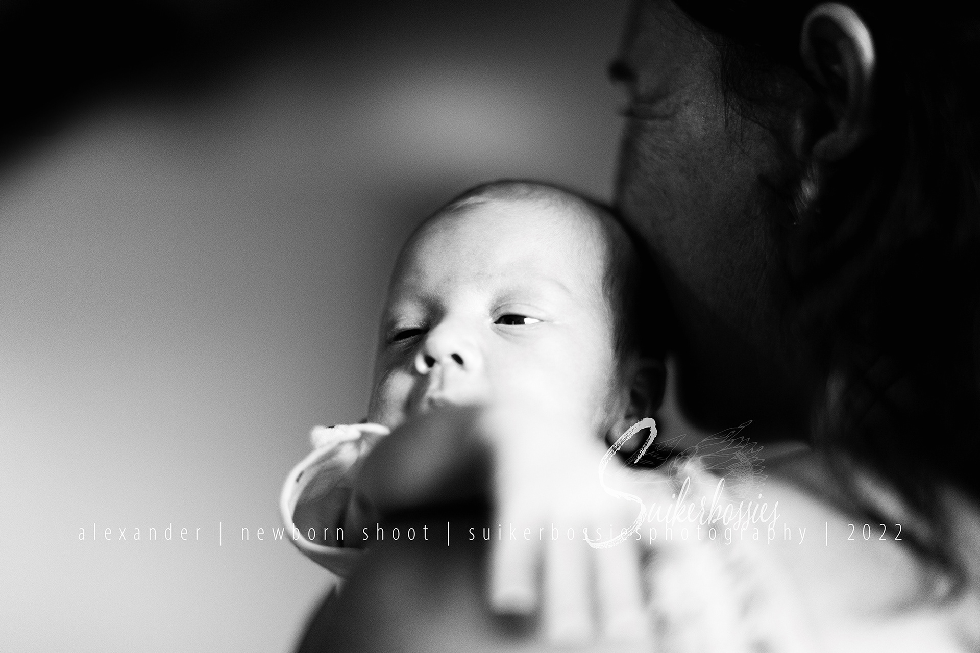 alexander | newborn shoot | suikerbossies photography | 2022