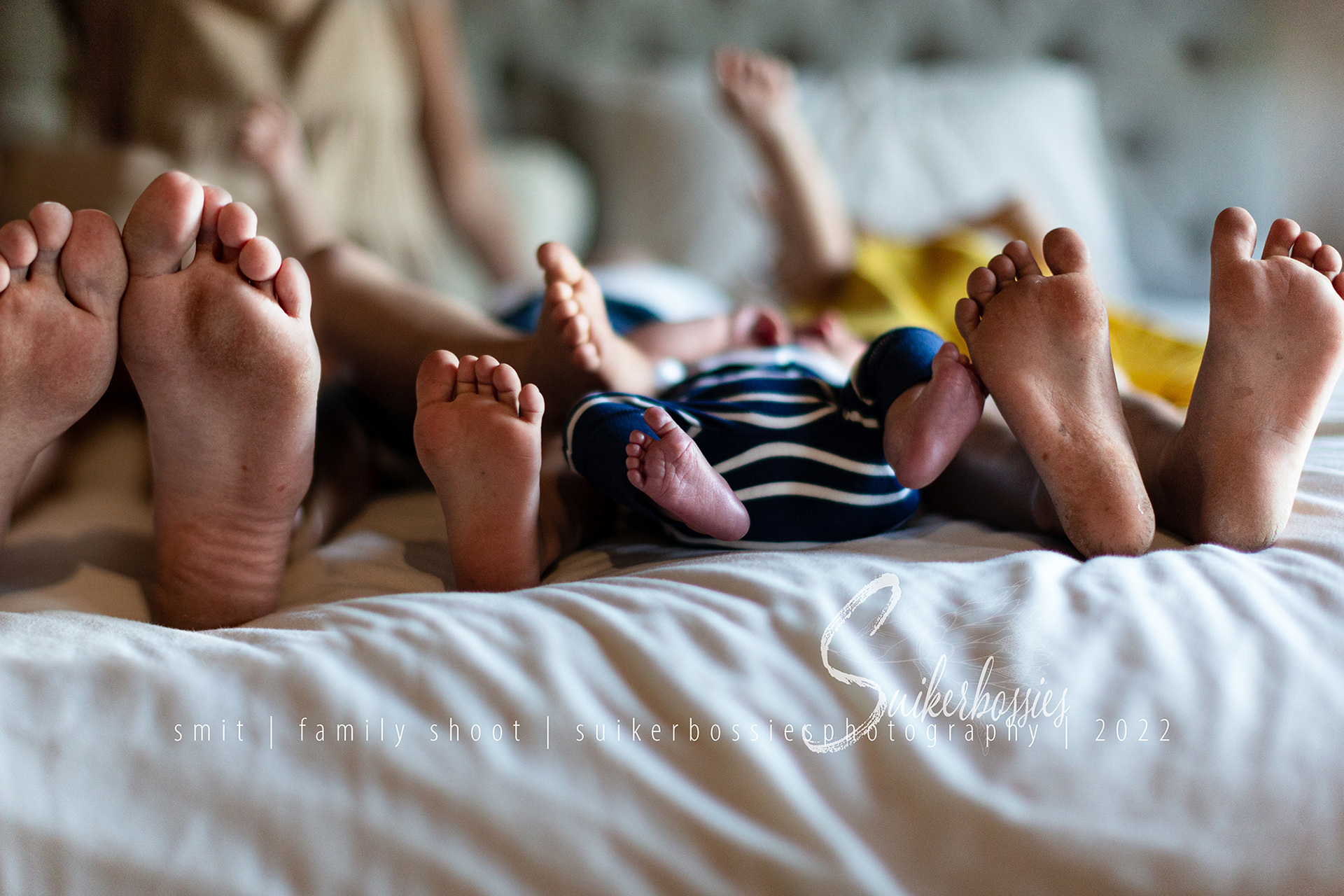 smit | family shoot | suikerbossies photography | 2022