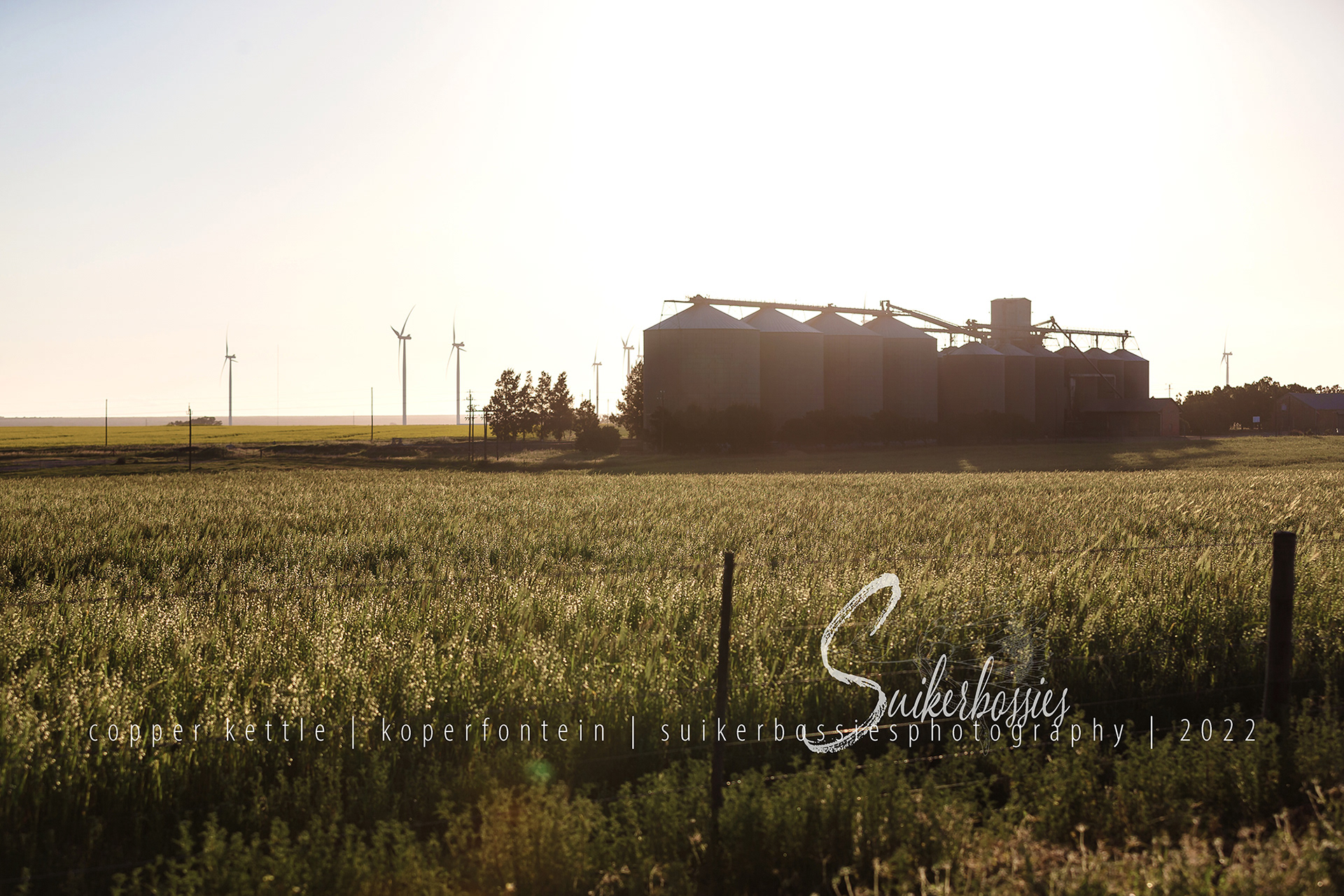 copper kettle | koperfontein | suikerbossies photography | 2022