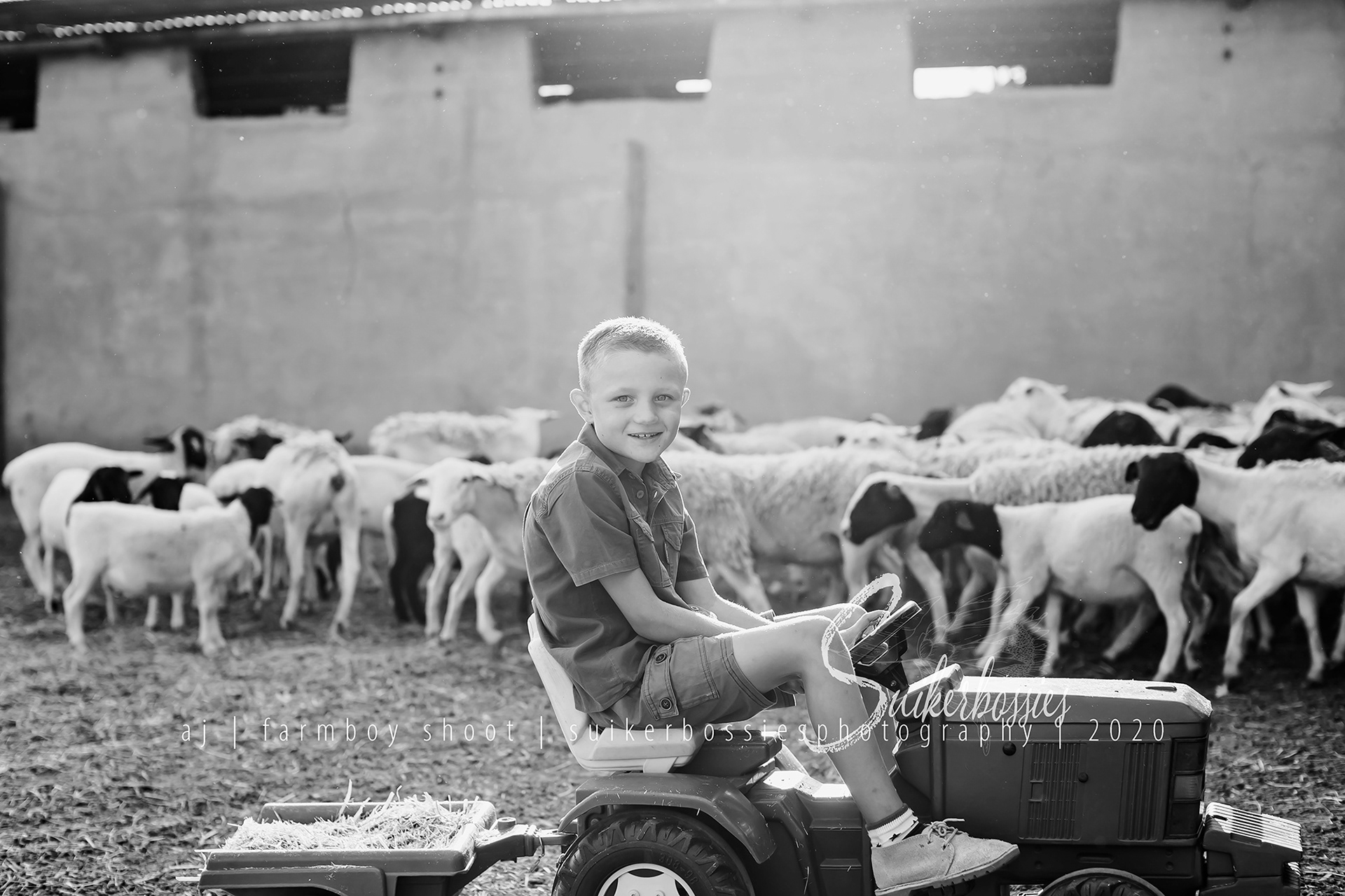 aj | farmboy shoot | suikerbossies photography | 2020