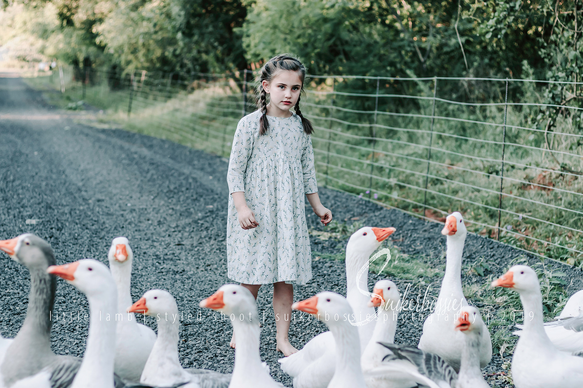 little lamb | styled shoot | suikerbossies photography | 2019