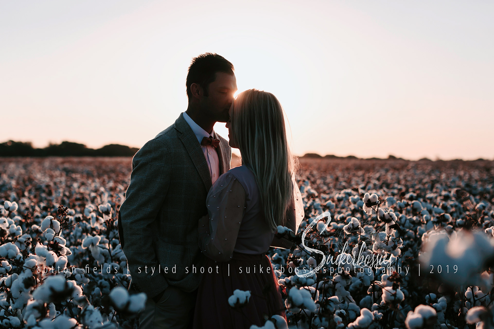 cotton fields | styled shoot | suikerbossies photography | 2019