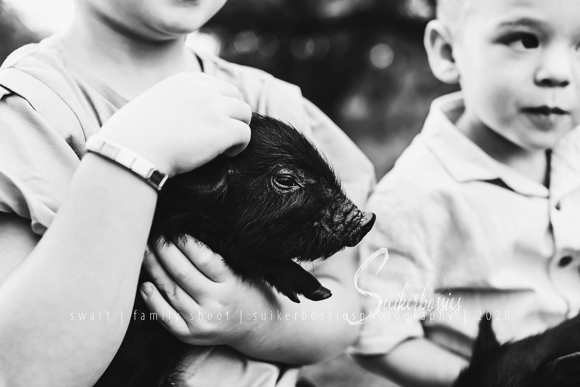 swart | family shoot | suikerbossies photography | 2020