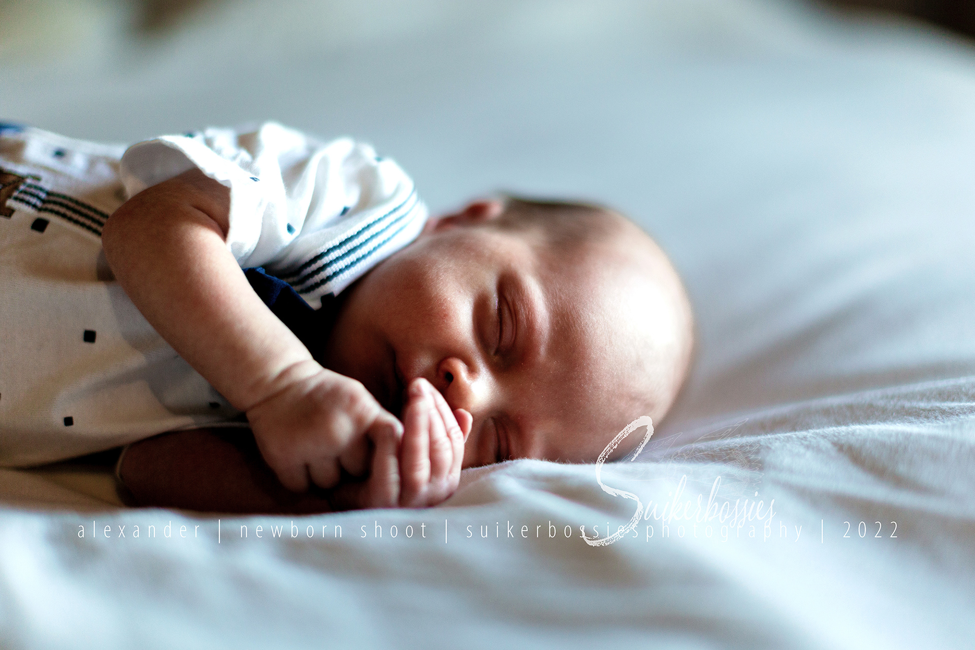 alexander | newborn shoot | suikerbossies photography | 2022
