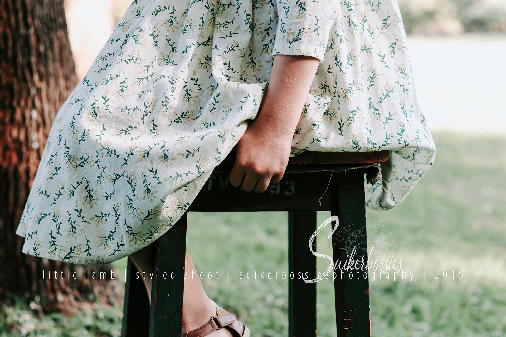 little lamb | styled shoot | suikerbossies photography | 2019