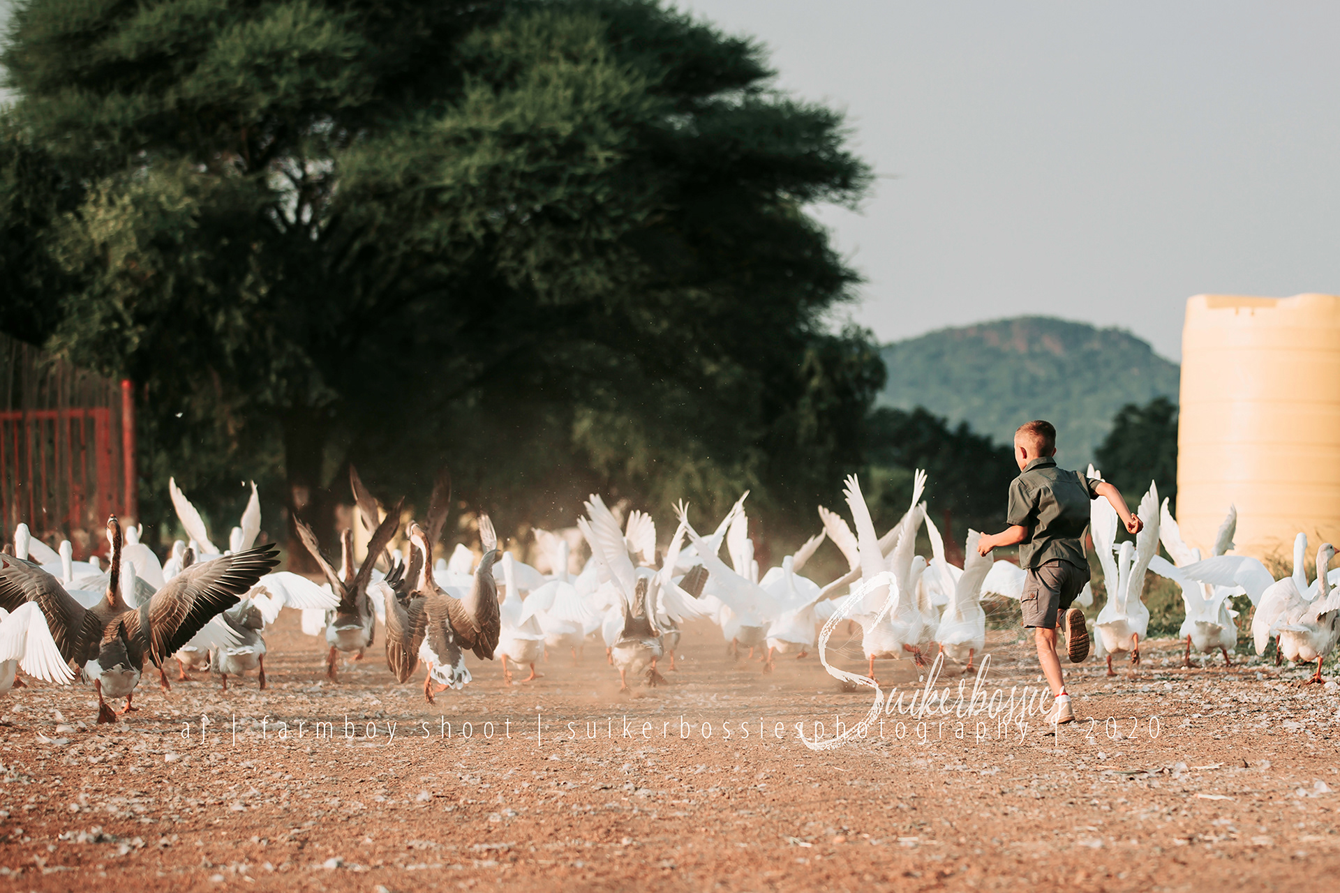 aj | farmboy shoot | suikerbossies photography | 2020