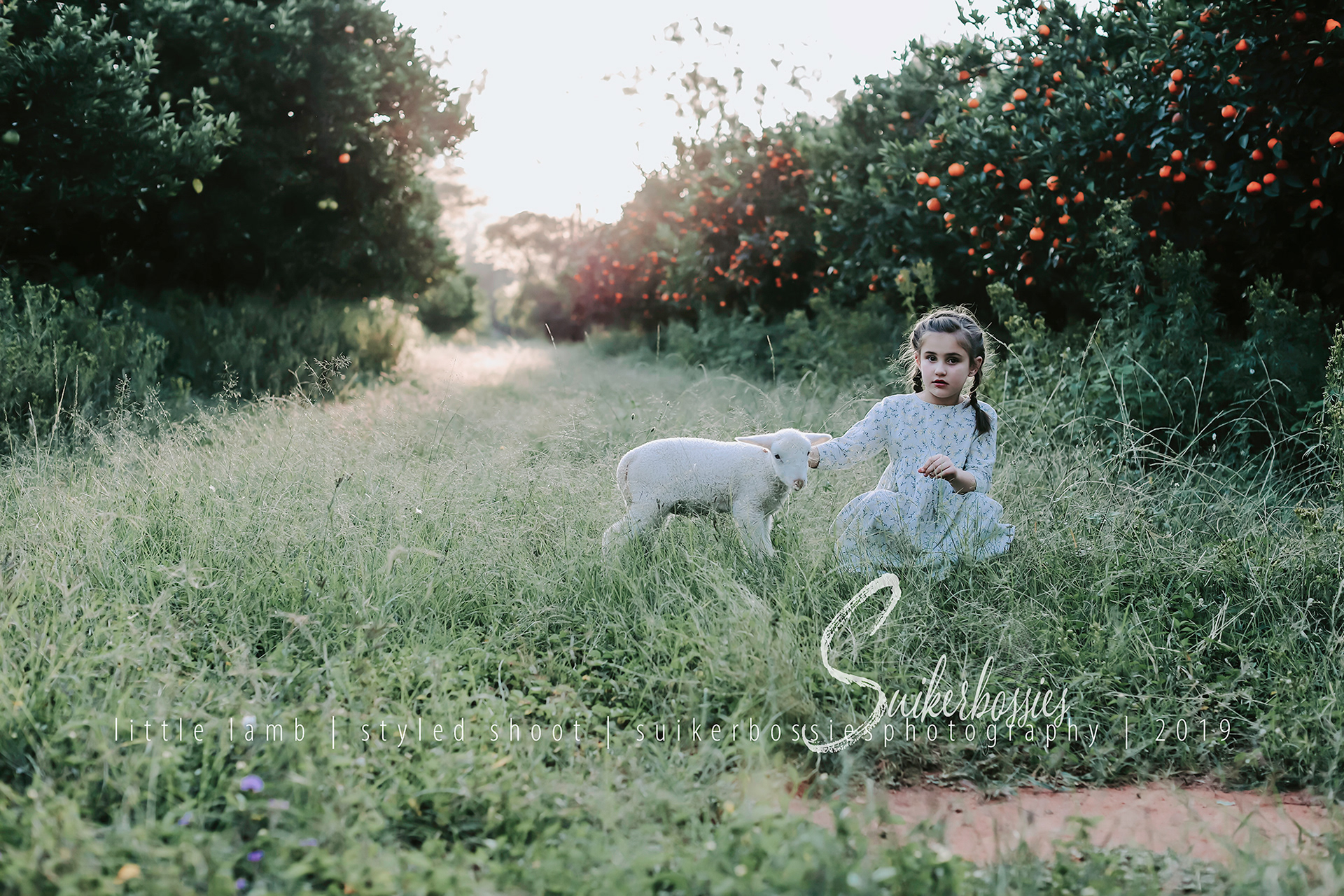 little lamb | styled shoot | suikerbossies photography | 2019