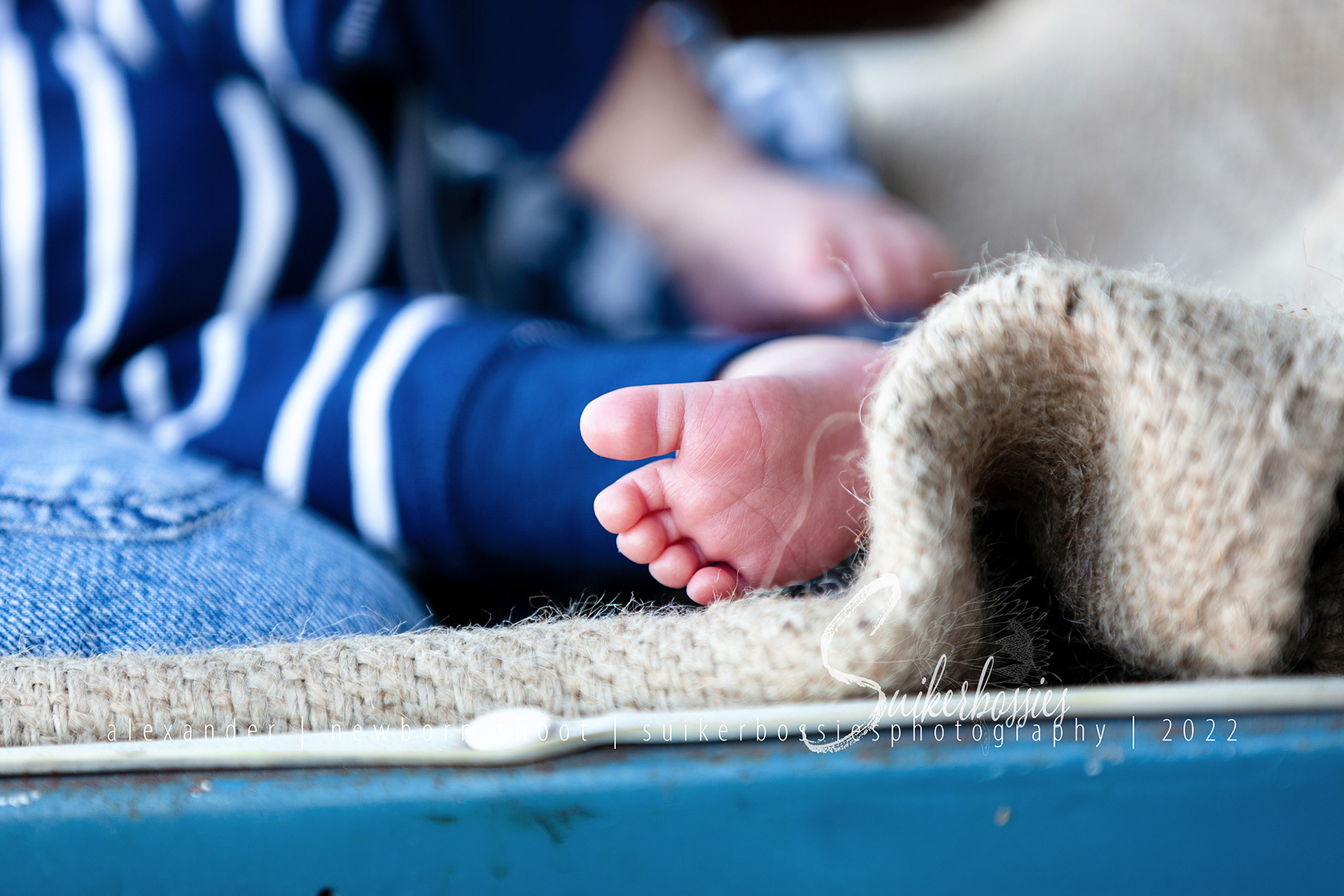 alexander | newborn shoot | suikerbossies photography | 2022