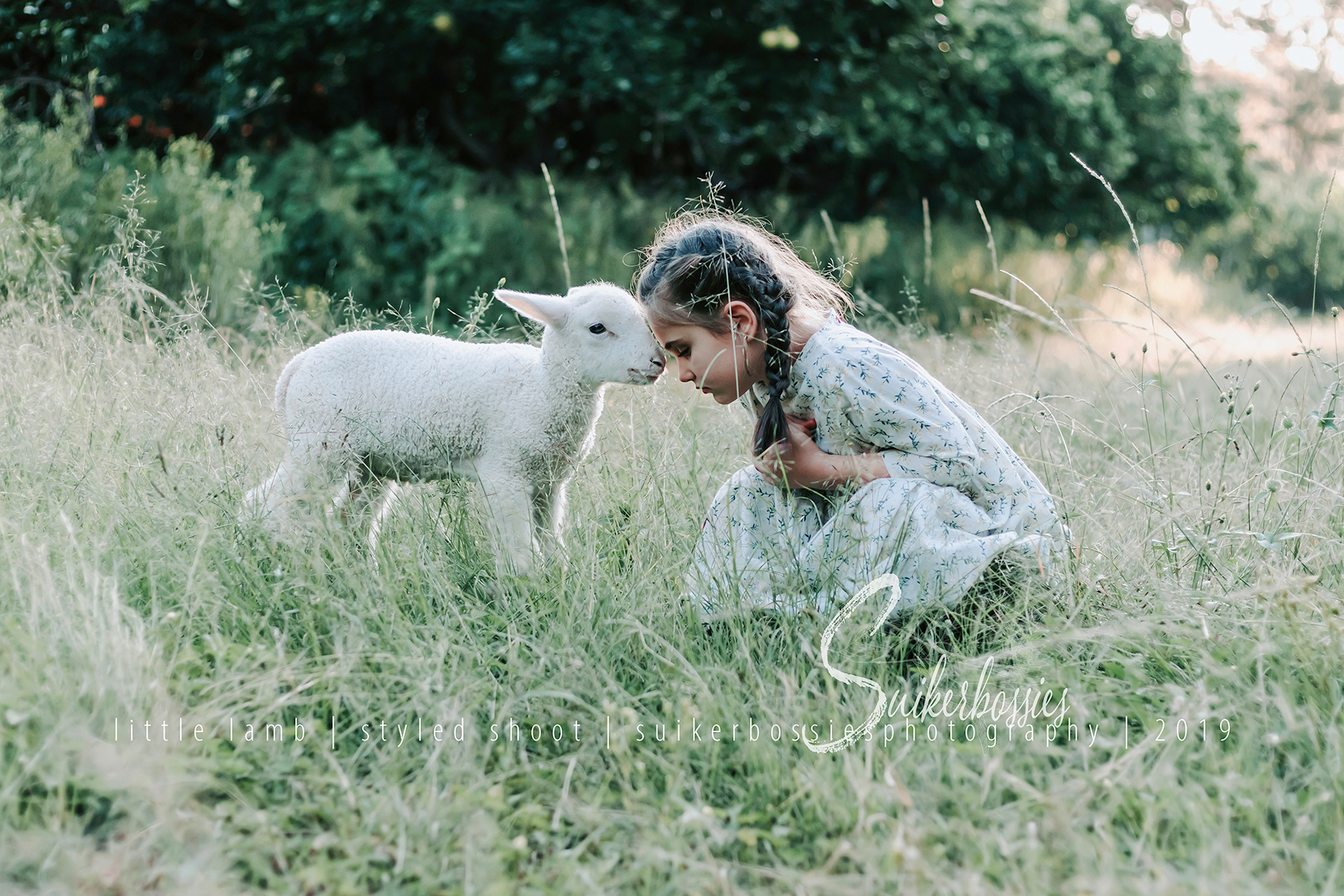 little lamb | styled shoot | suikerbossies photography | 2019