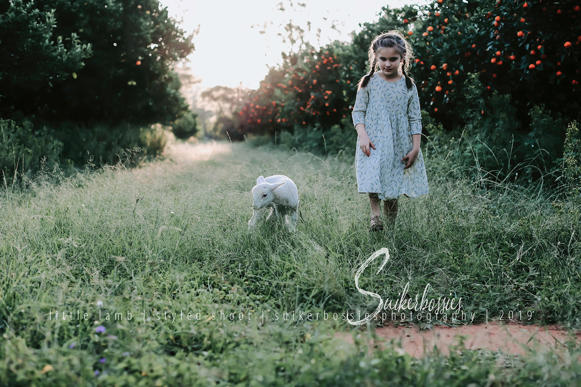 little lamb | styled shoot | suikerbossies photography | 2019