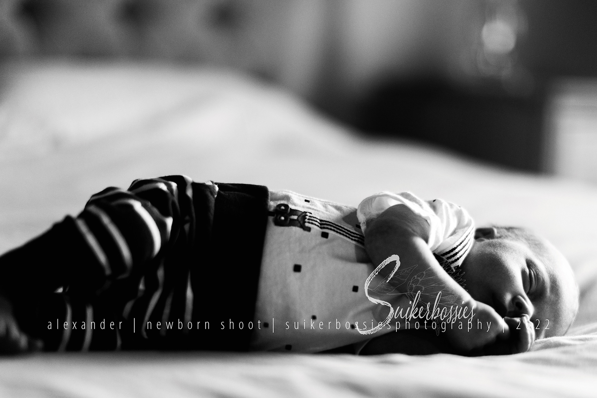 alexander | newborn shoot | suikerbossies photography | 2022