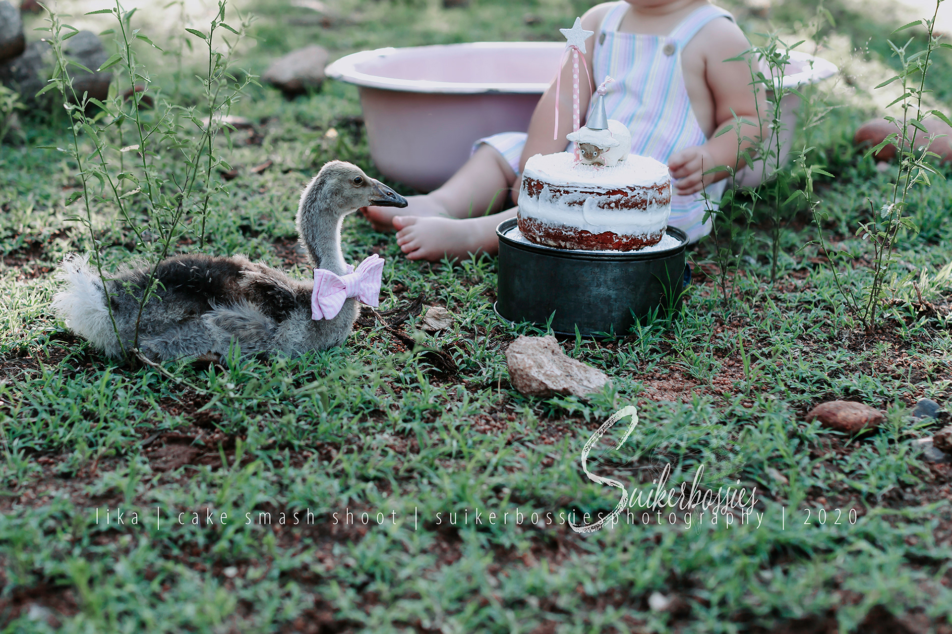 lika | cake smash shoot | suikerbossies photography | 2020