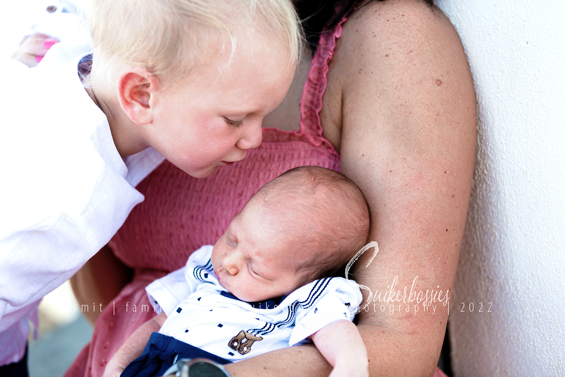 smit | family shoot | suikerbossies photography | 2022