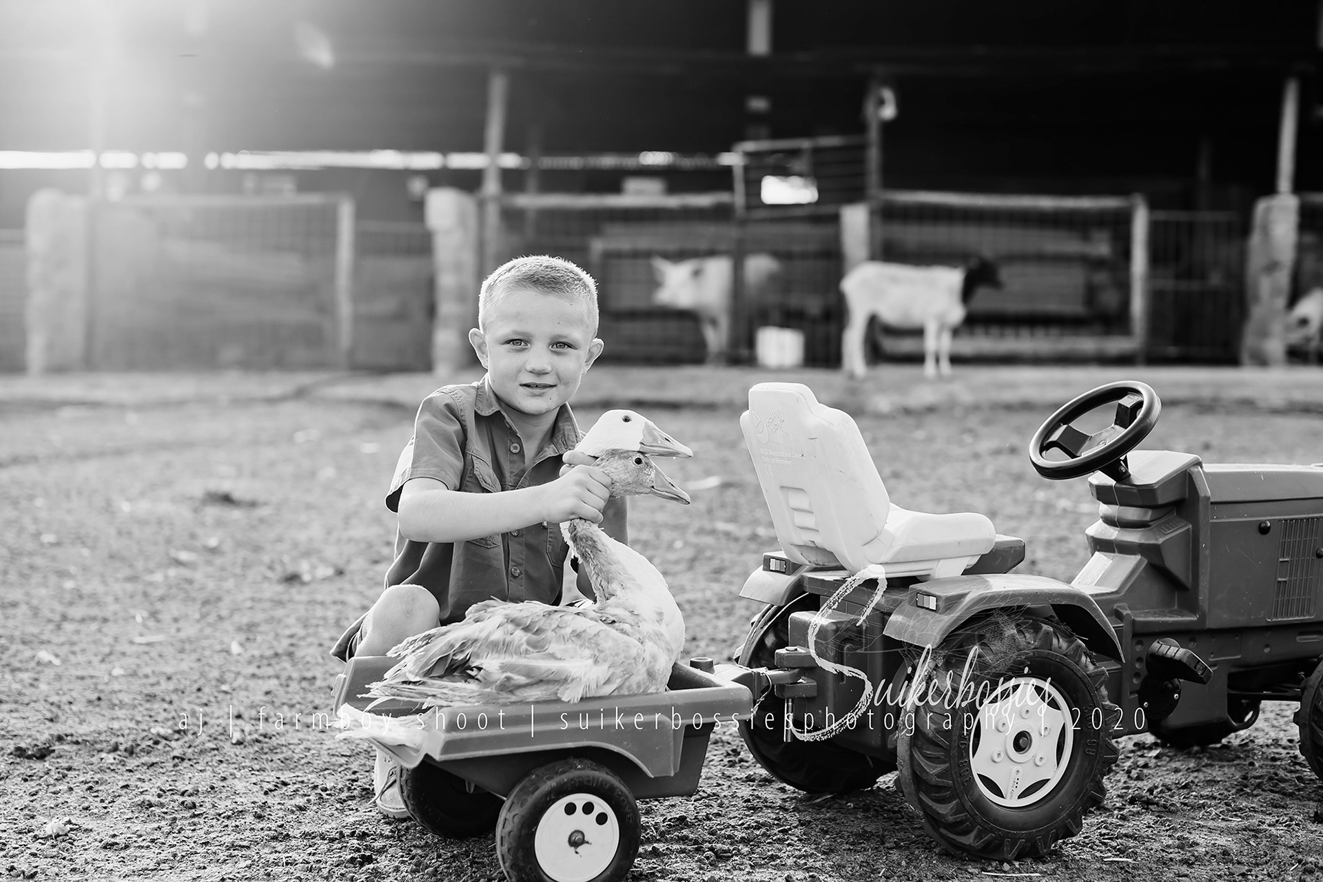 aj | farmboy shoot | suikerbossies photography | 2020