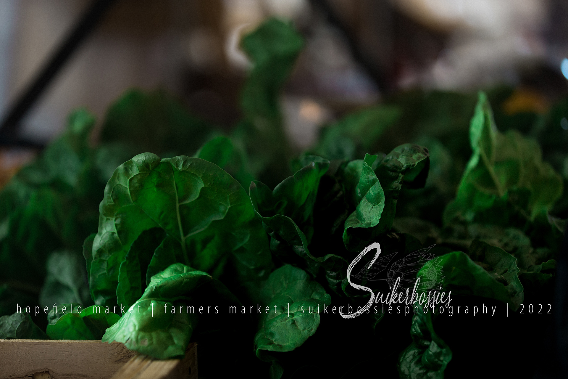 hopefield market | farmers market | suikerbossies photography | 2022