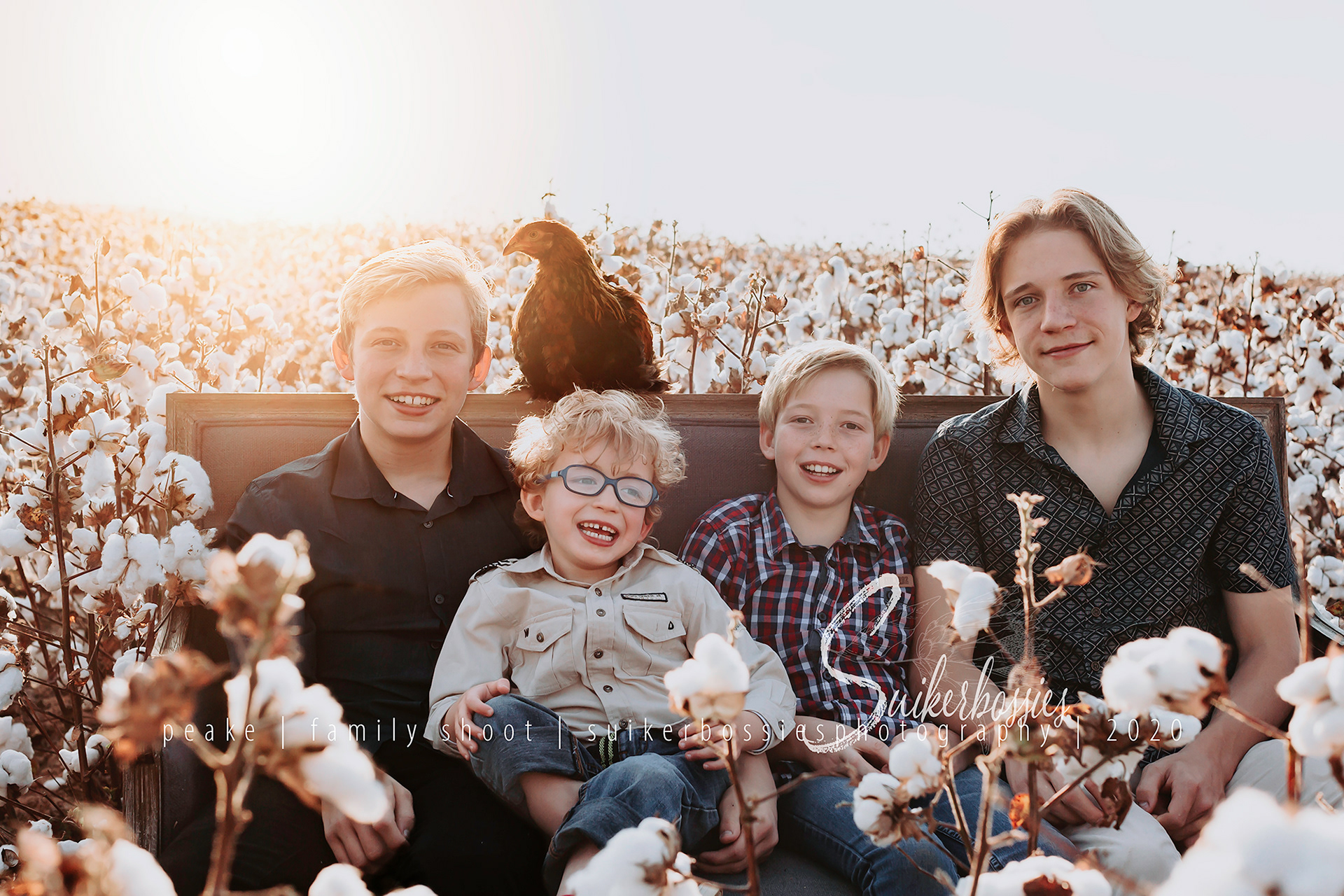 peake | family shoot | suikerbossies photography | 2020