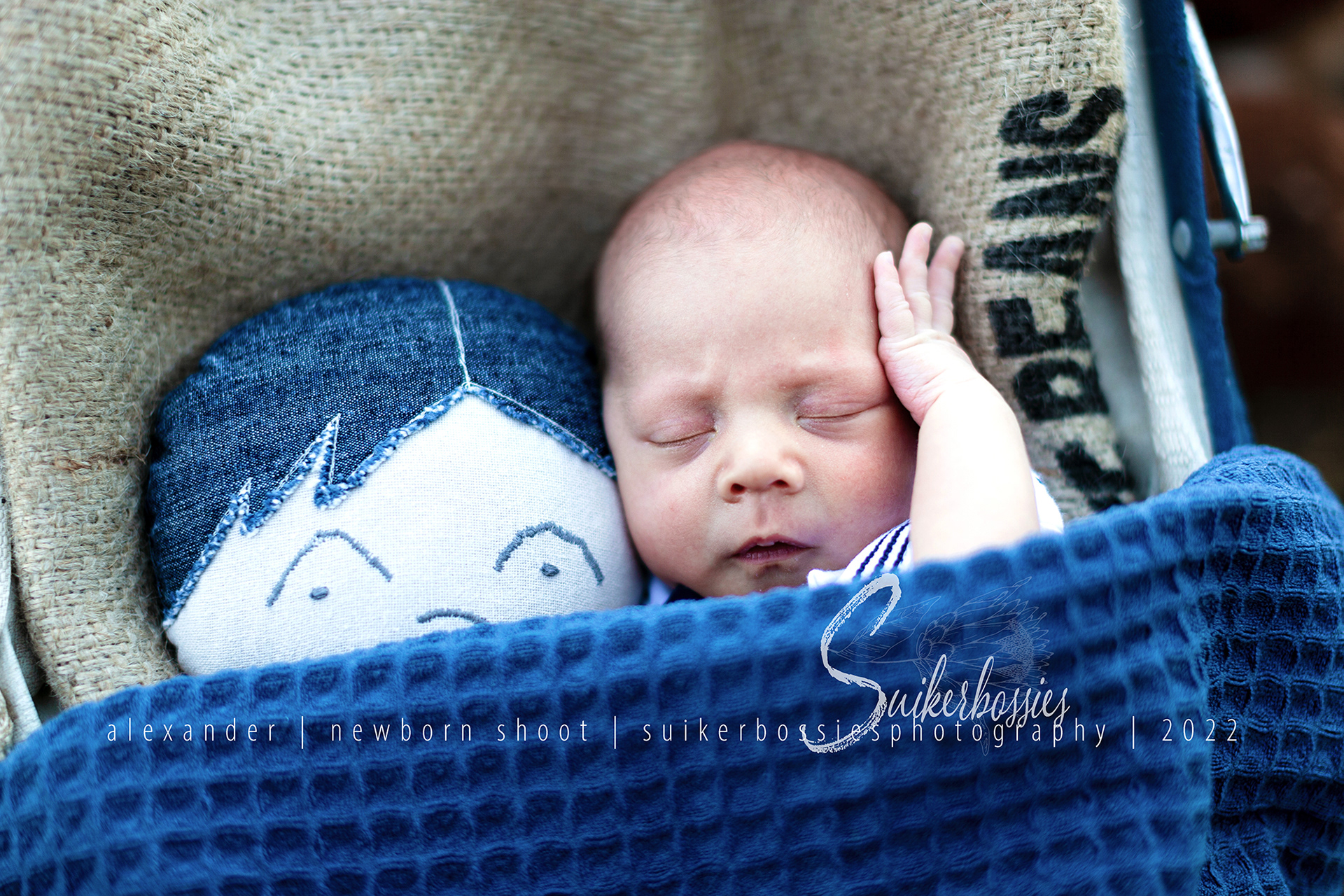 alexander | newborn shoot | suikerbossies photography | 2022