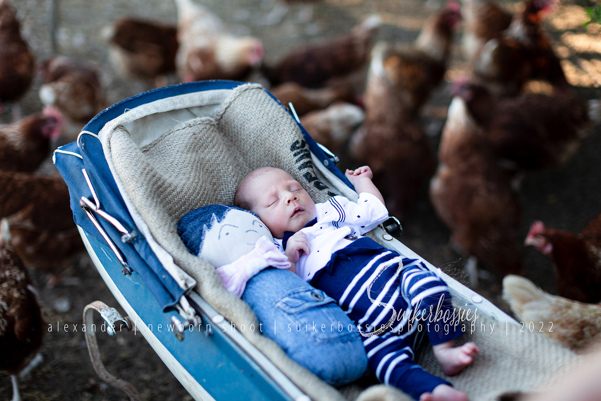 alexander | newborn shoot | suikerbossies photography | 2022