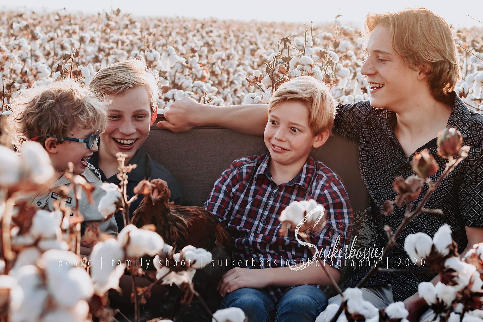 peake | family shoot | suikerbossies photography | 2020