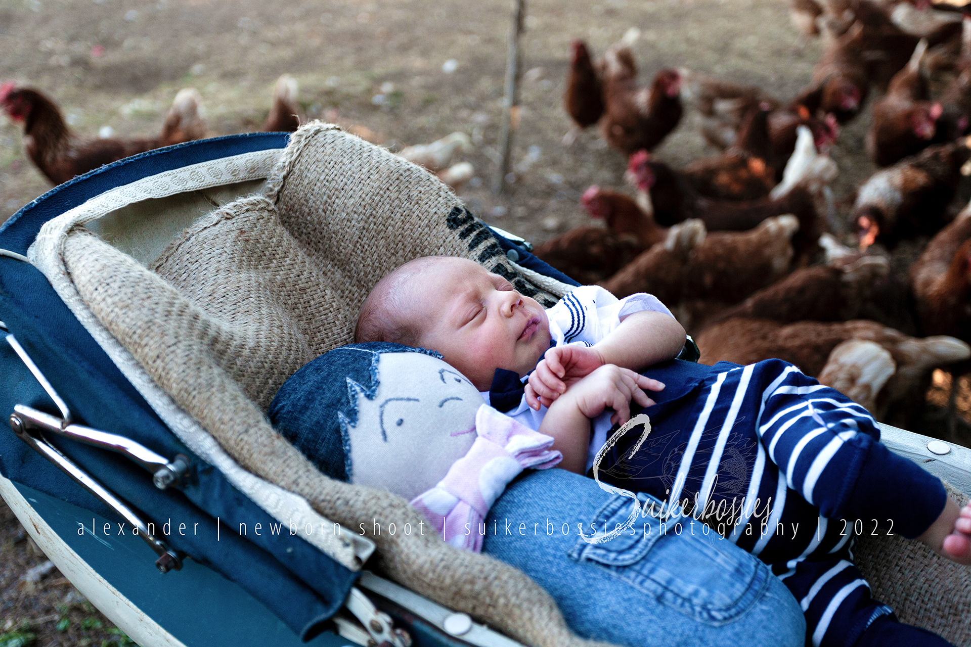 alexander | newborn shoot | suikerbossies photography | 2022