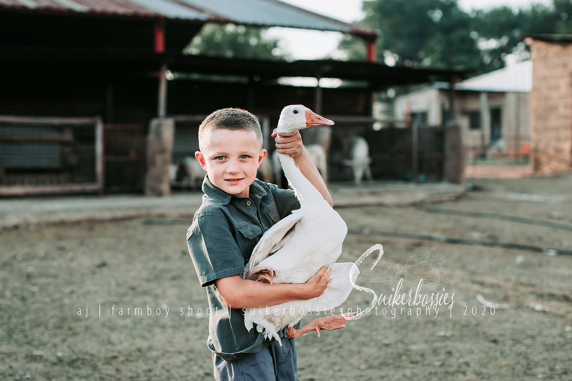 aj | farmboy shoot | suikerbossies photography | 2020