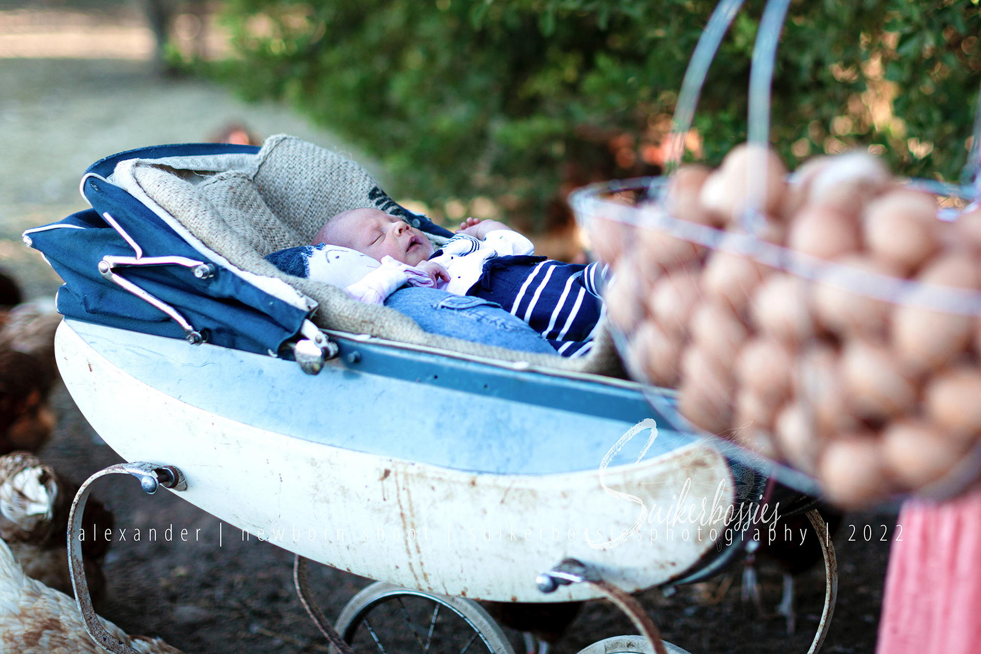 alexander | newborn shoot | suikerbossies photography | 2022