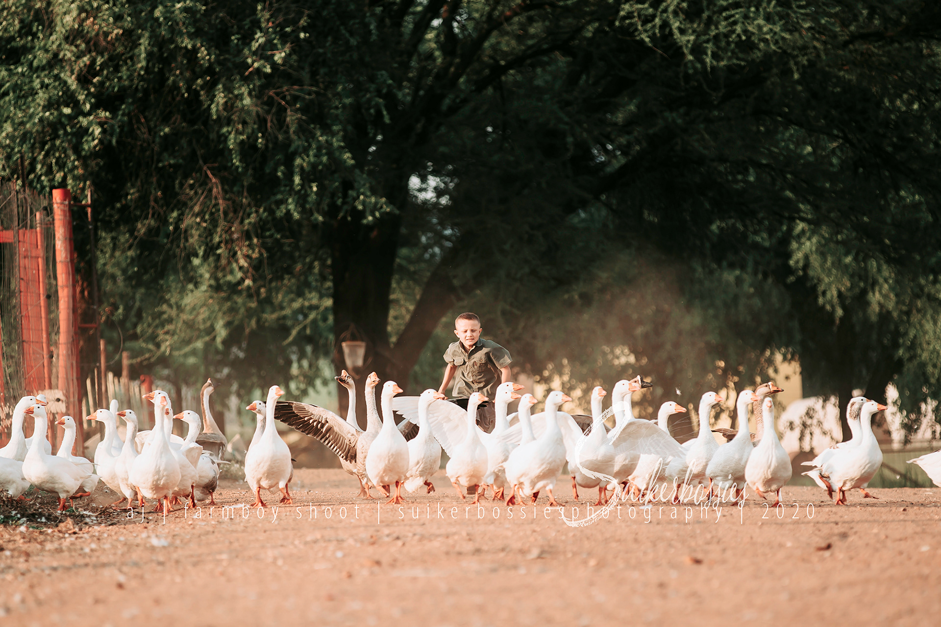 aj | farmboy shoot | suikerbossies photography | 2020
