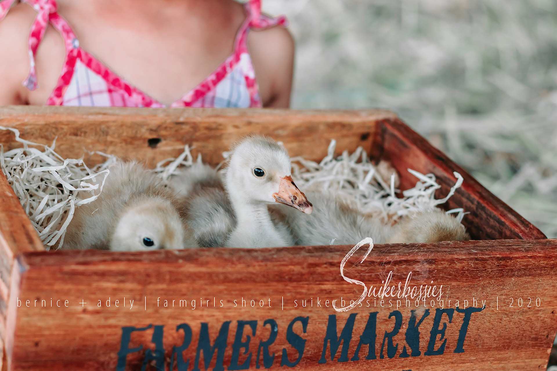bernice + adely | farmgirls shoot | suikerbossies photography | 2020