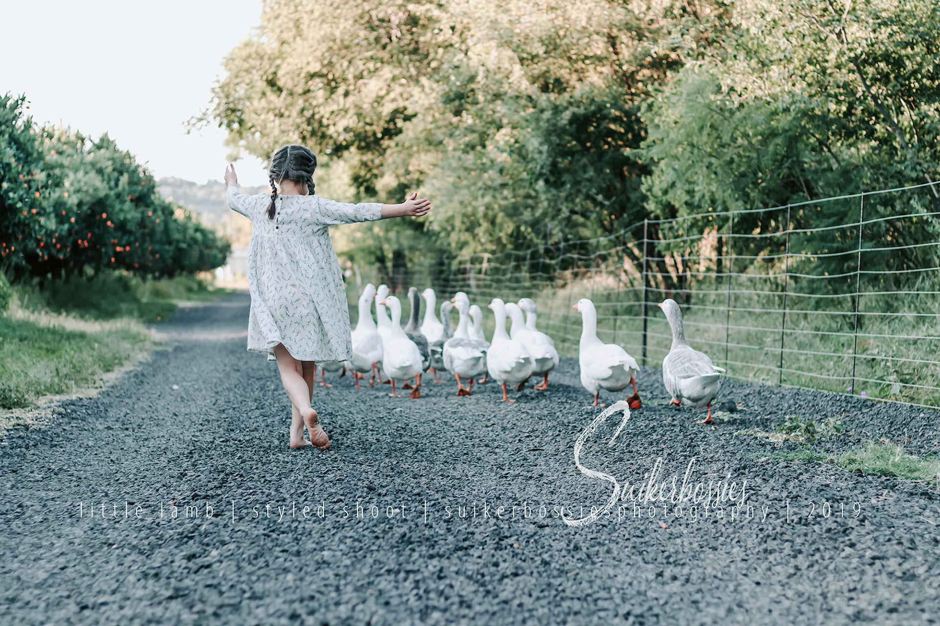 little lamb | styled shoot | suikerbossies photography | 2019
