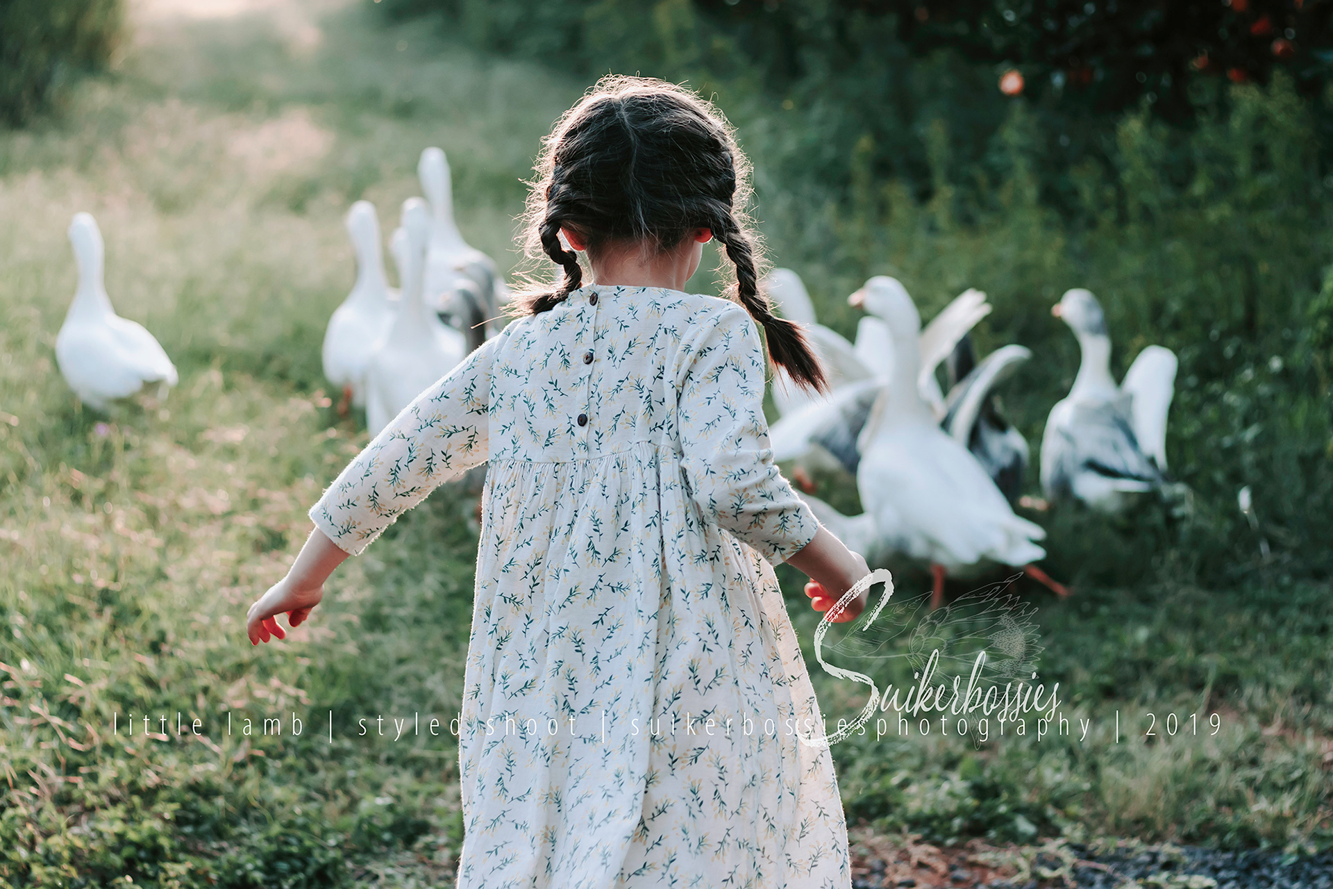 little lamb | styled shoot | suikerbossies photography | 2019