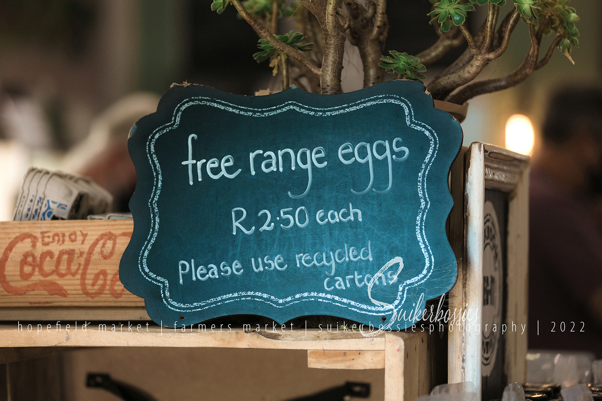 hopefield market | farmers market | suikerbossies photography | 2022