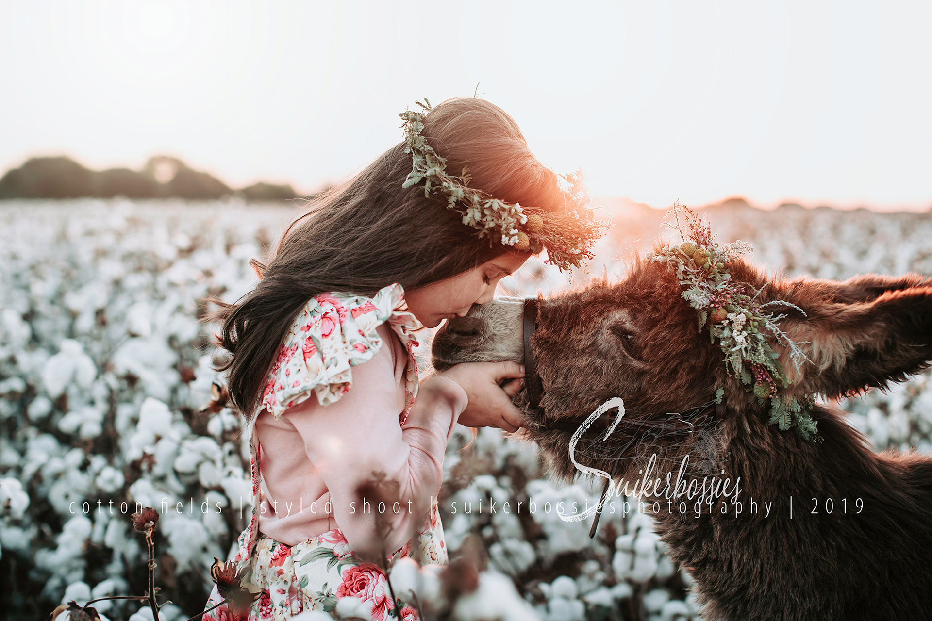 cotton fields | styled shoot | suikerbossies photography | 2019
