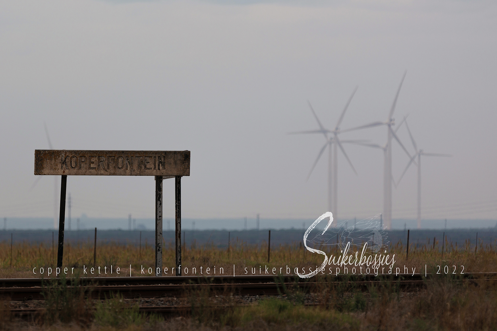 copper kettle | koperfontein | suikerbossies photography | 2022