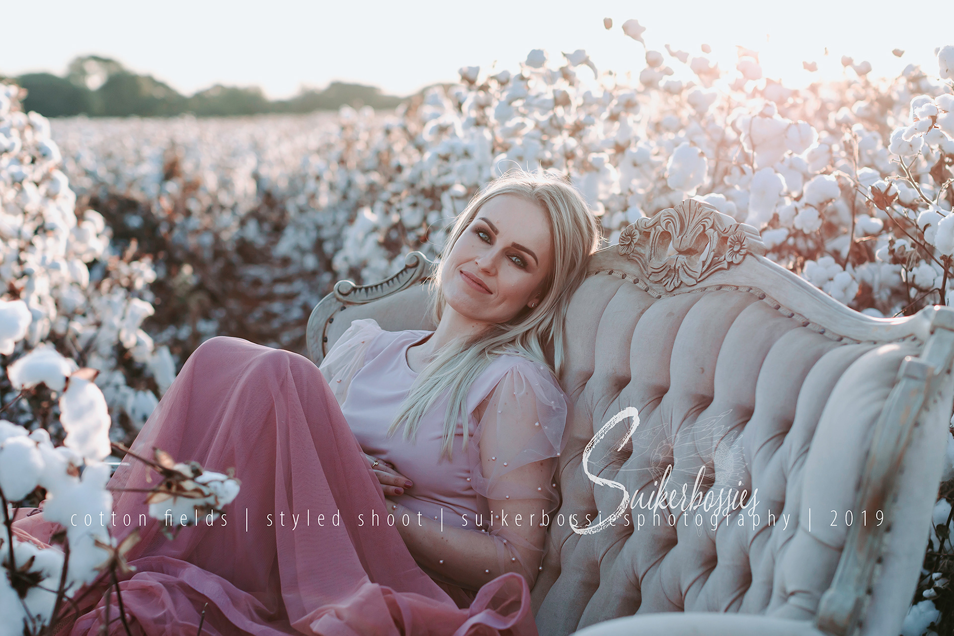 cotton fields | styled shoot | suikerbossies photography | 2019