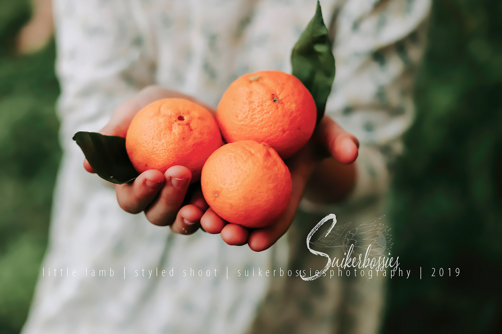 little lamb | styled shoot | suikerbossies photography | 2019