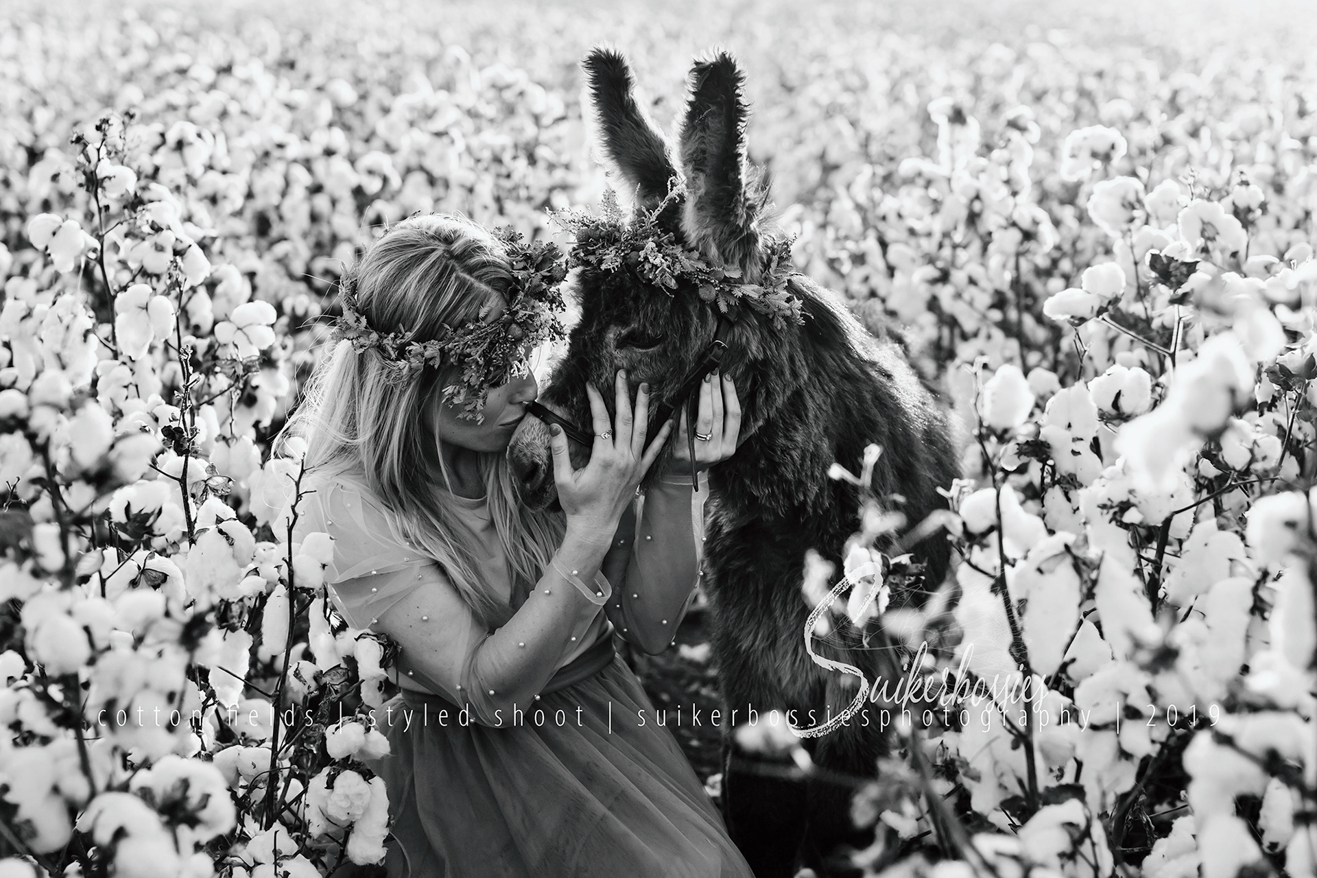 cotton fields | styled shoot | suikerbossies photography | 2019