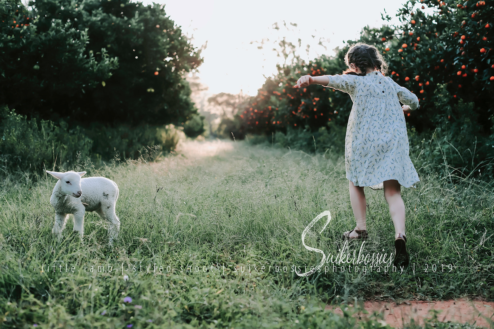 little lamb | styled shoot | suikerbossies photography | 2019