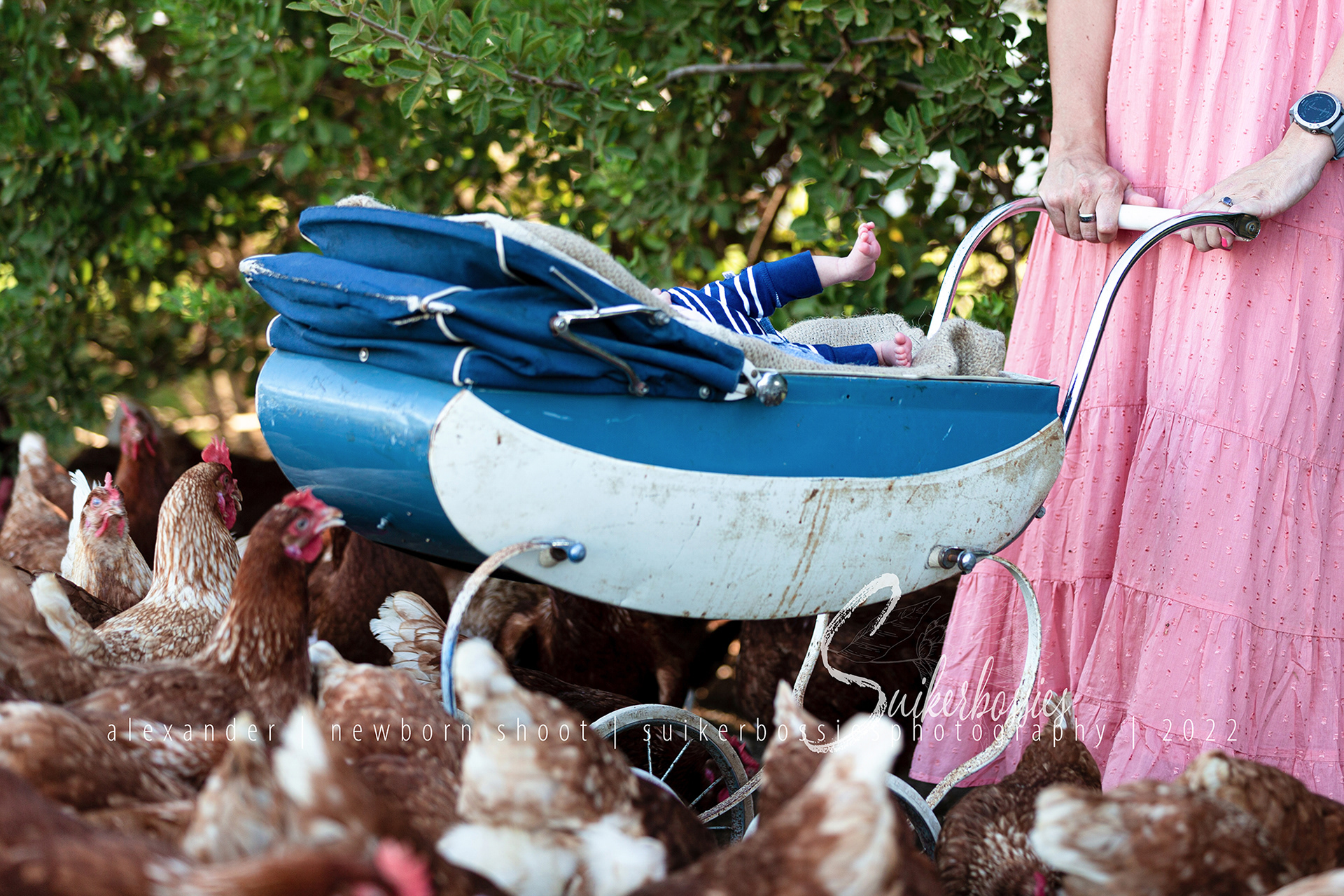 alexander | newborn shoot | suikerbossies photography | 2022