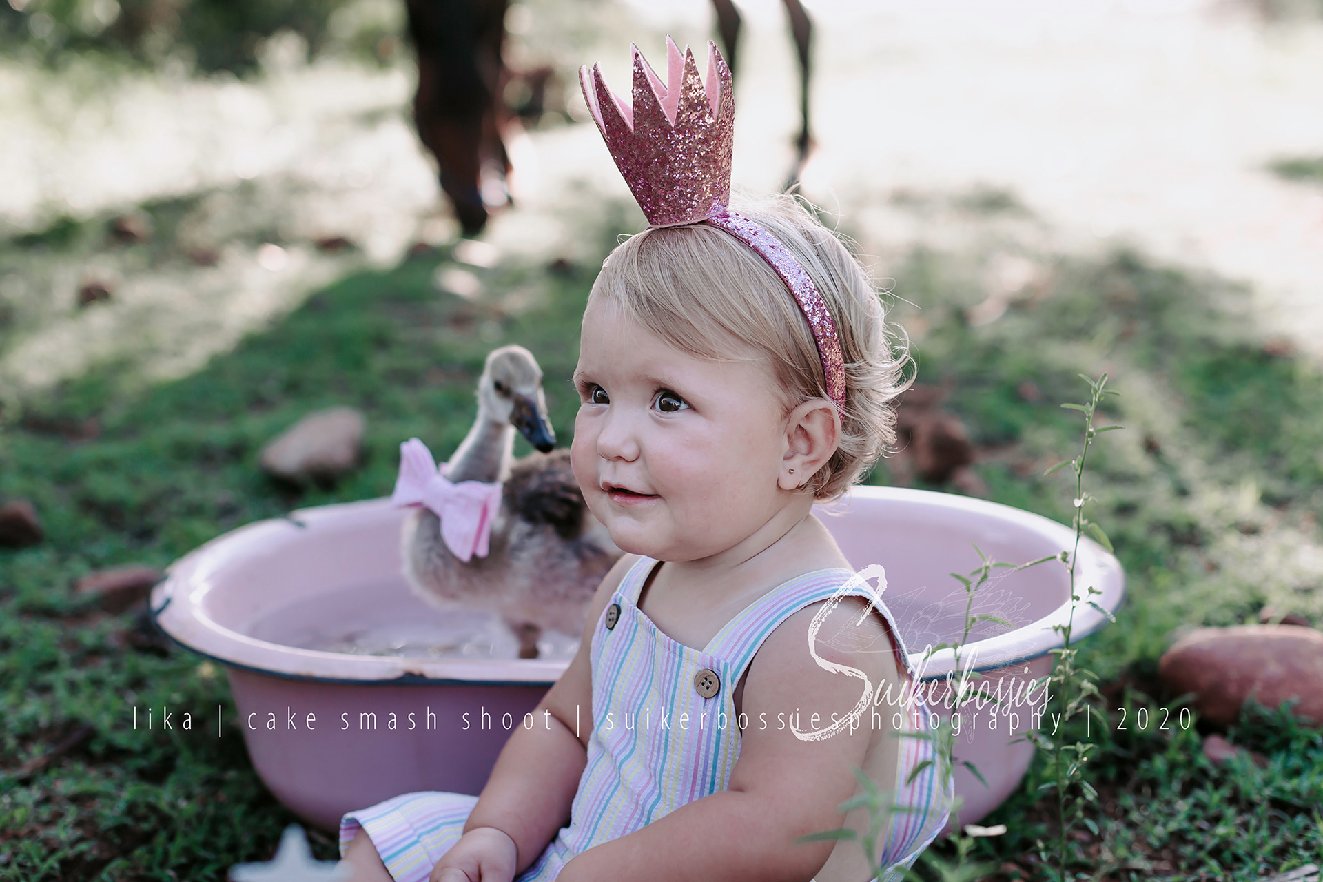 lika | cake smash shoot | suikerbossies photography | 2020