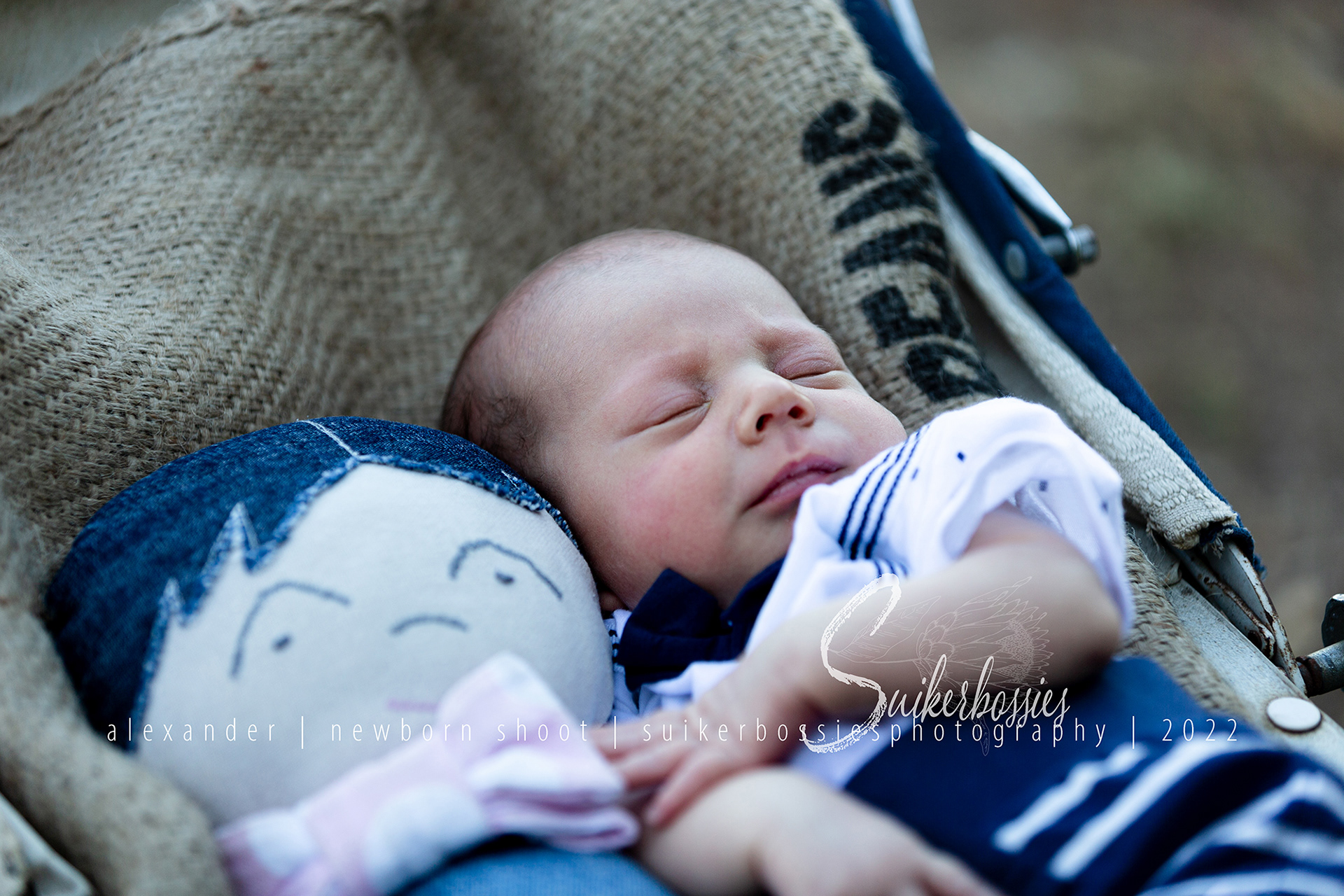 alexander | newborn shoot | suikerbossies photography | 2022
