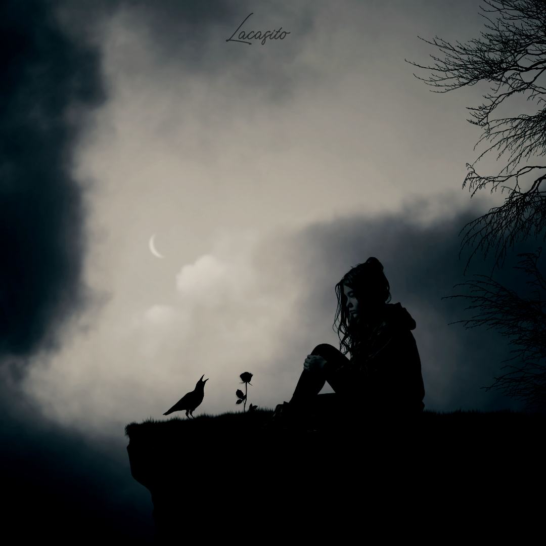 Una Rosa en la Penumbra