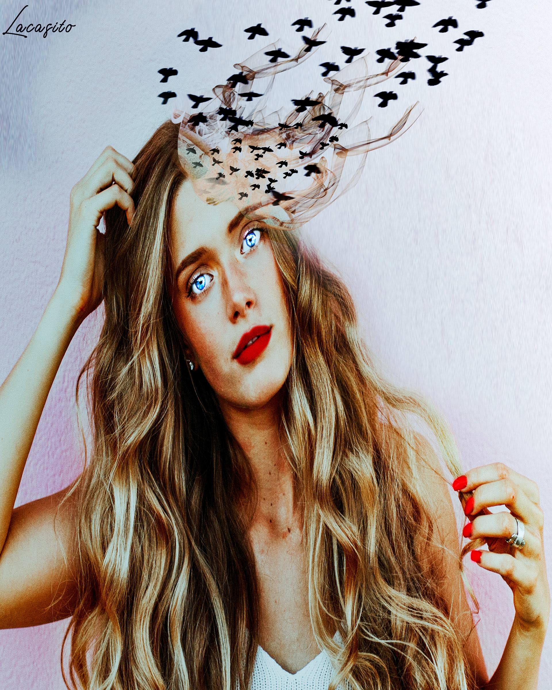 Pajaros en la cabeza