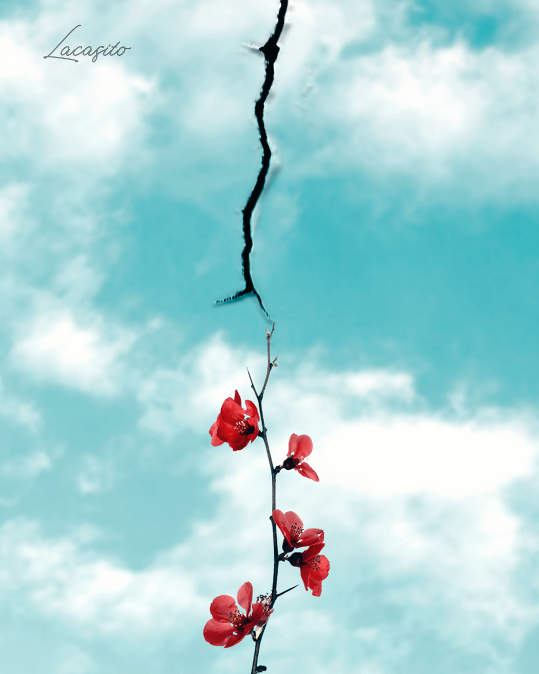 La Flor y La Grieta.