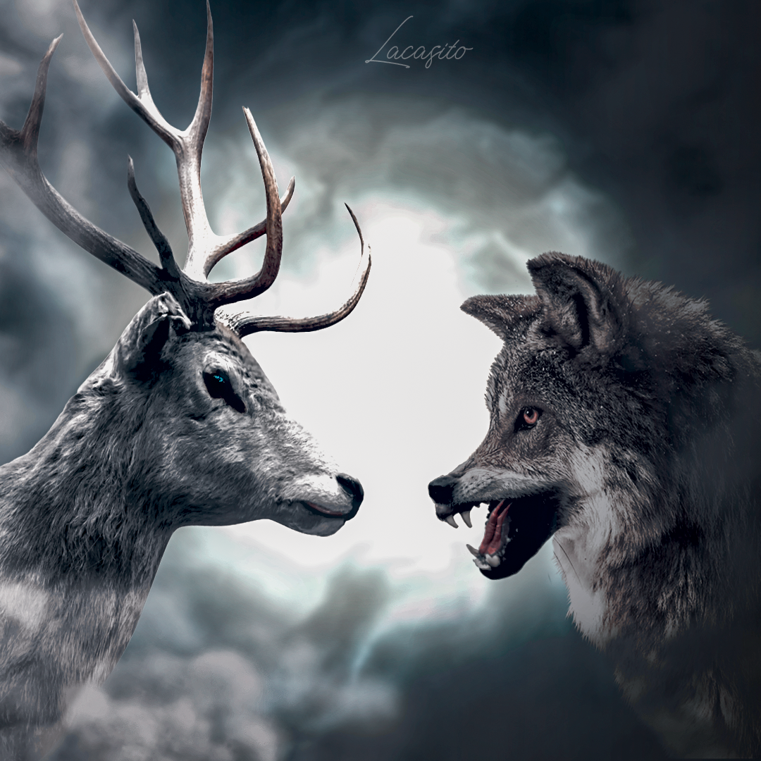 Ragnarök